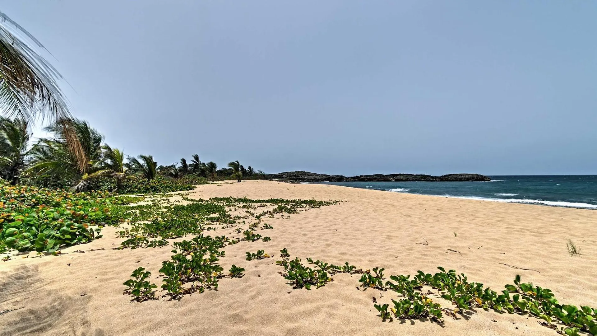 Apartament Tropical Caribbean Bungalow With Ocean Views And Pool Manati Portoryko