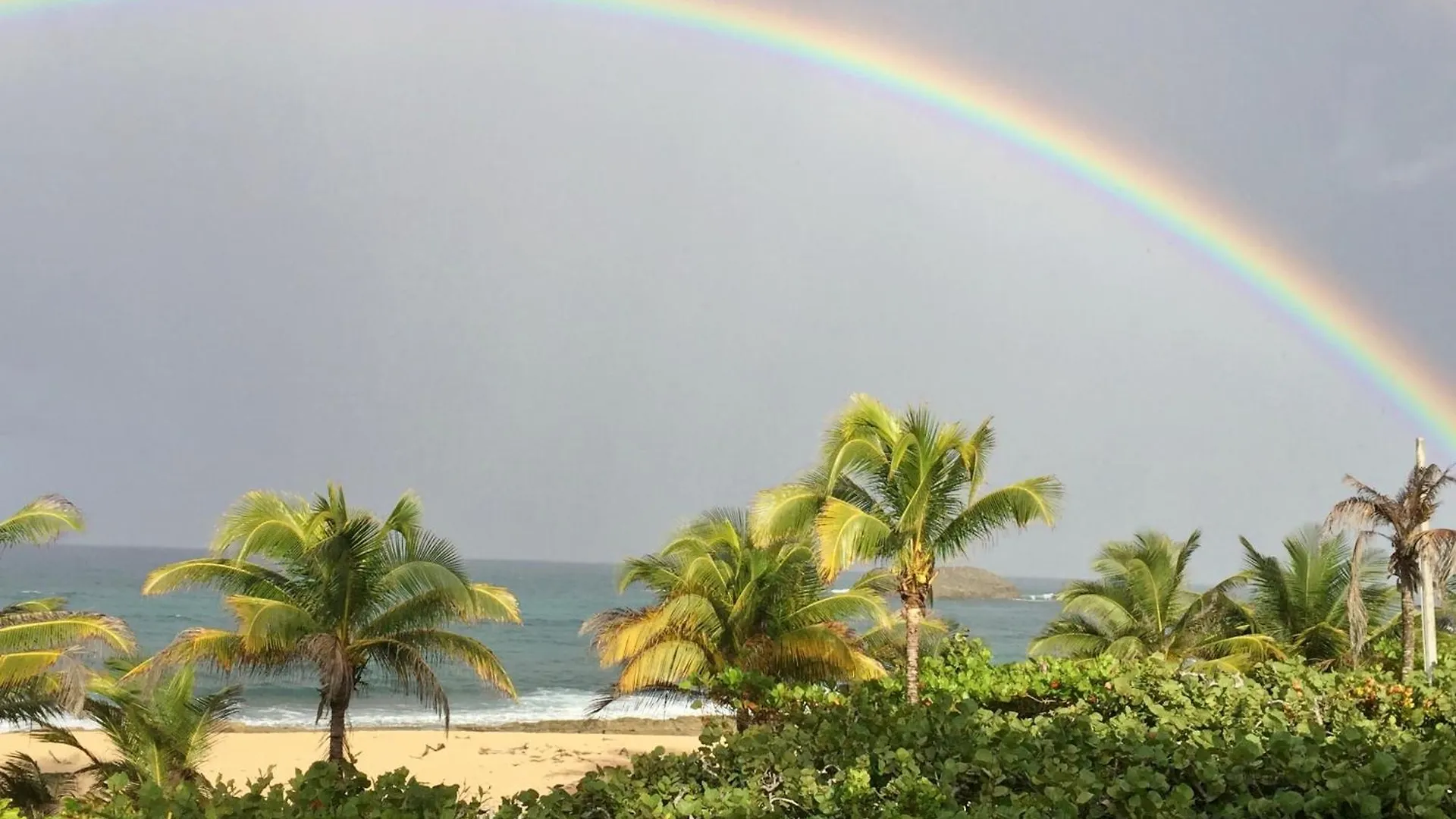 Tropical Caribbean Bungalow With Ocean Views And Pool 마나티 푸에르토리코